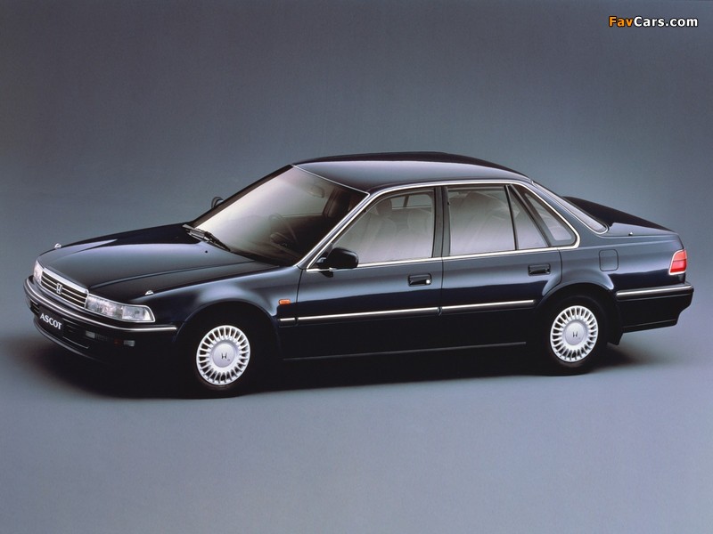 Honda Ascot (CB) 1989–93 images (800 x 600)