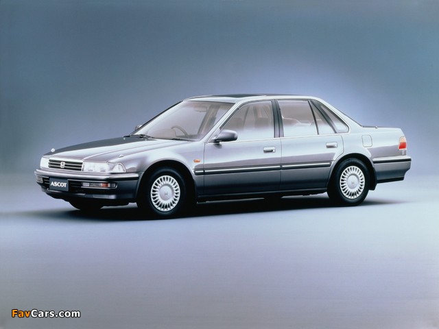 Images of Honda Ascot (CB) 1989–93 (640 x 480)