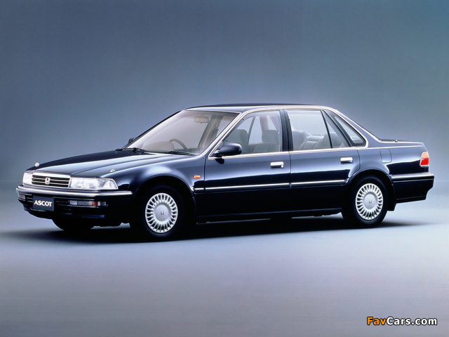 Pictures of Honda Ascot (CB) 1989–93 (640 x 480)