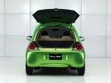 Honda Brio Concept 2010 pictures