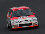 Mugen Honda Civic JTCC Group A 1991 images