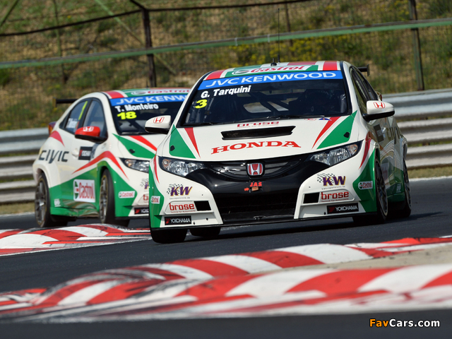 Pictures of Honda Civic WTCC 2013 (640 x 480)