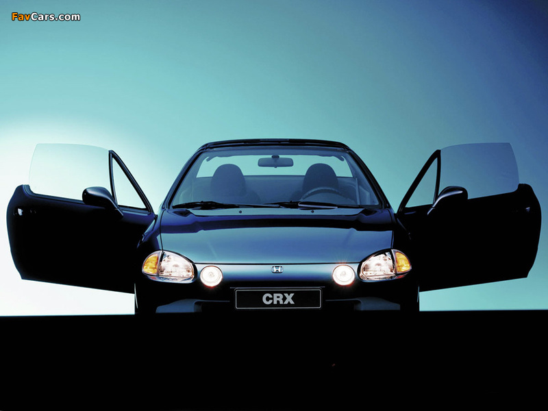 Pictures of Honda CRX (EG) 1995–98 (800 x 600)