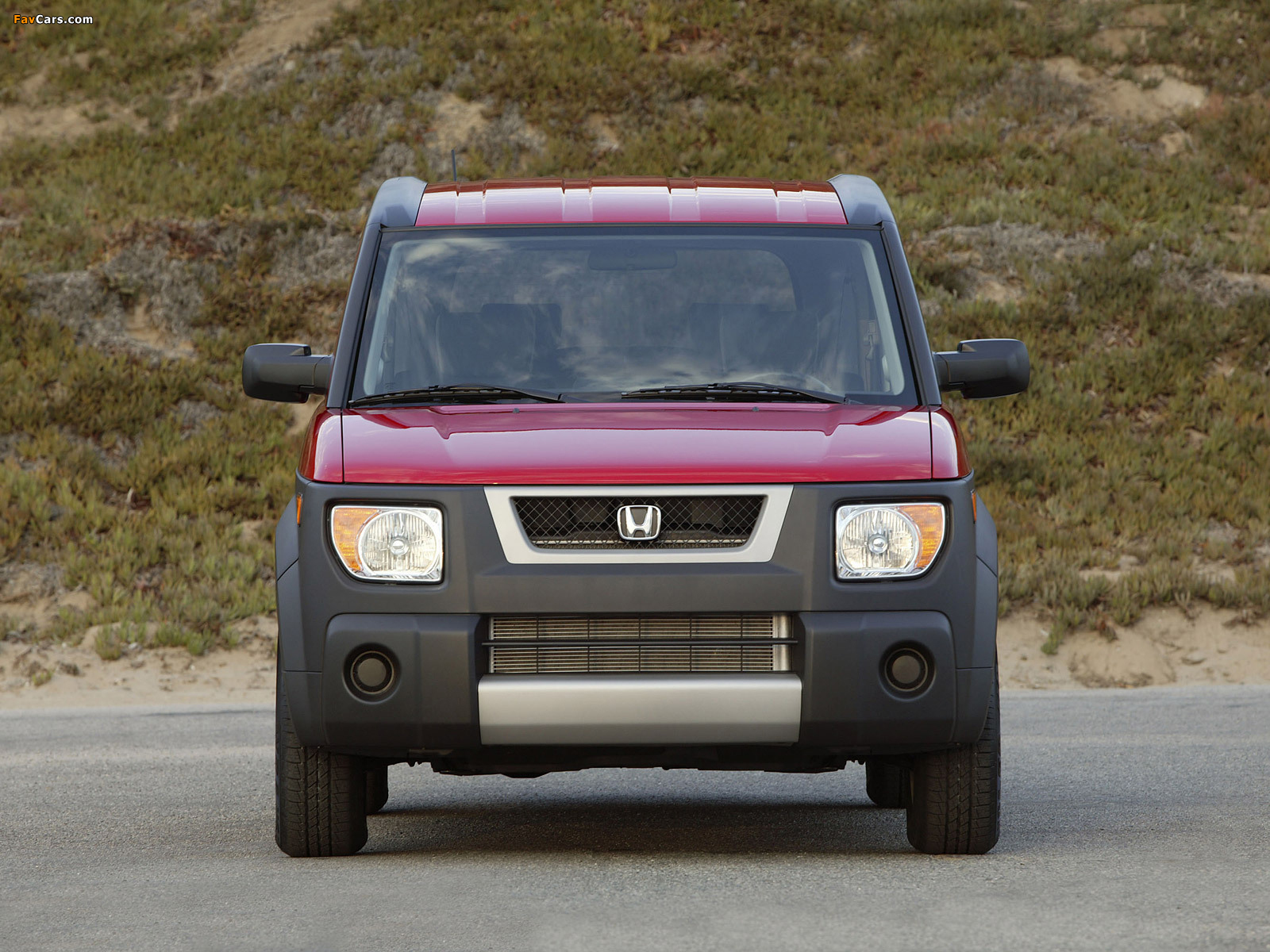 Images of Honda Element (YH2) 2003–06 (1600 x 1200)