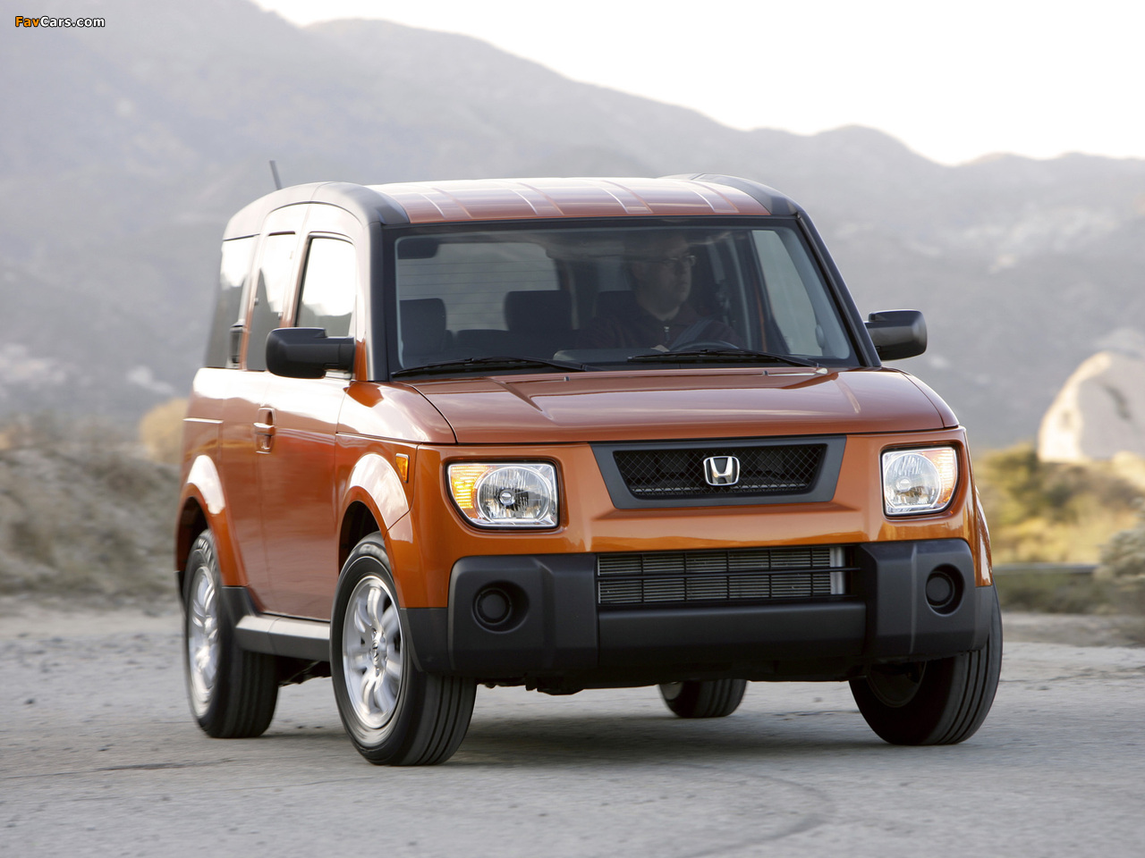Images of Honda Element EX-P (YH2) 2006–08 (1280 x 960)