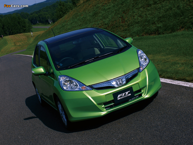 Honda Fit Hybrid (GP1) 2010 pictures (800 x 600)