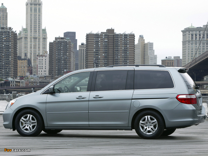 Honda Odyssey US-spec 2005–07 images (800 x 600)