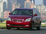 Honda Odyssey US-spec 2005–07 wallpapers