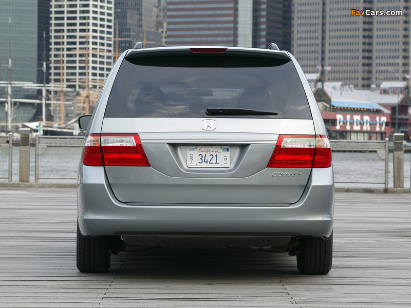 Images of Honda Odyssey US-spec 2005–07 (800 x 600)