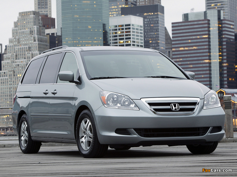 Pictures of Honda Odyssey US-spec 2005–07 (800 x 600)