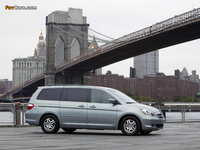 Honda Odyssey US-spec 2005–07 wallpapers (640 x 480)