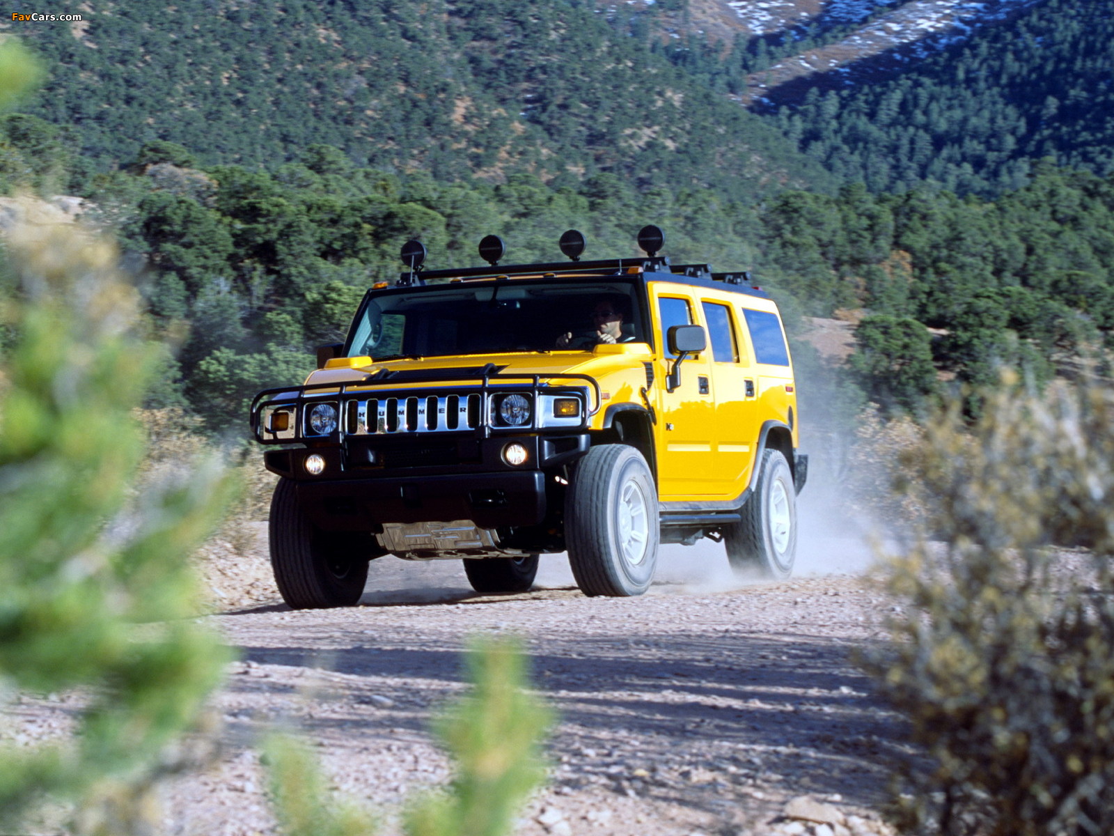 Pictures of Hummer H2 2002–07 (1600 x 1200)
