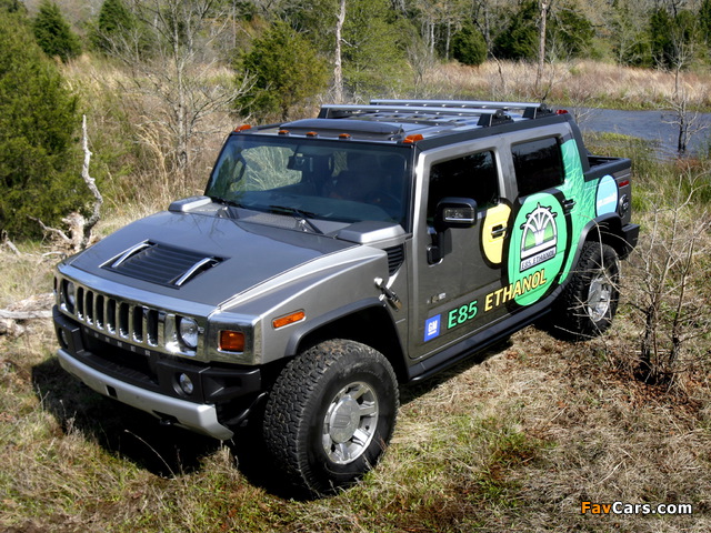 Pictures of Hummer H2 SUT E85 2009 (640 x 480)