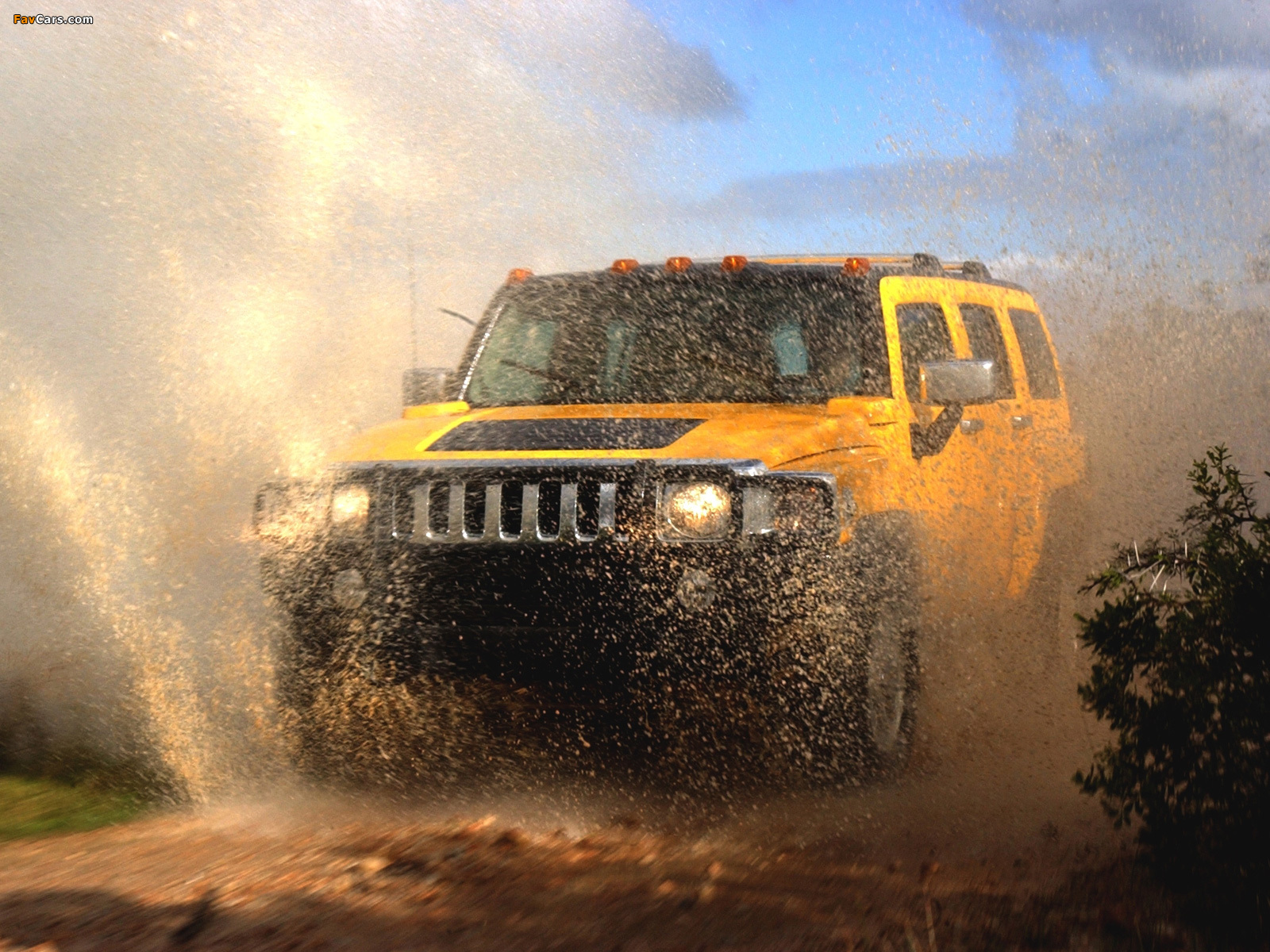 Photos of Hummer H3 2005–10 (1600 x 1200)