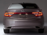 Hyundai Azera (HG) 2012 images