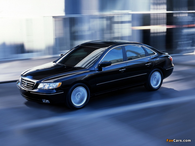 Pictures of Hyundai Azera (TG) 2006–10 (800 x 600)