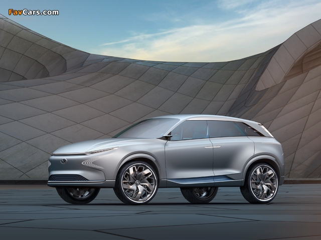 Hyundai FE Fuel Cell Concept 2017 pictures (640 x 480)