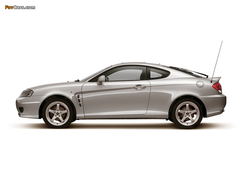 Hyundai Coupe (GK) 2005–06 photos (800 x 600)