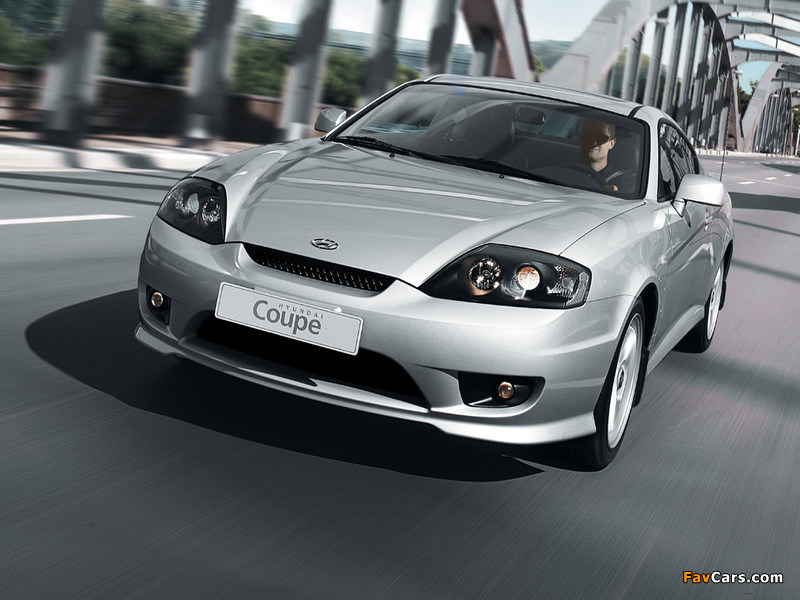 Hyundai Coupe (GK) 2005–06 pictures (800 x 600)