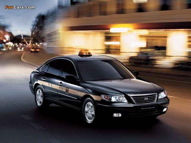 Hyundai Grandeur Taxi (TG) 2005–09 images (640 x 480)