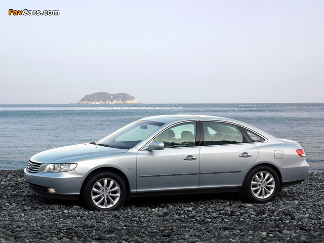 Hyundai Grandeur (TG) 2005–09 photos (640 x 480)