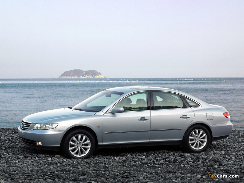 Hyundai Grandeur (TG) 2005–09 photos (800 x 600)