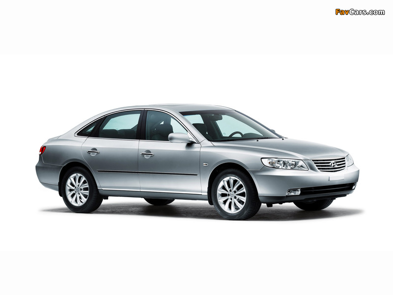 Hyundai Grandeur (TG) 2005–09 pictures (800 x 600)