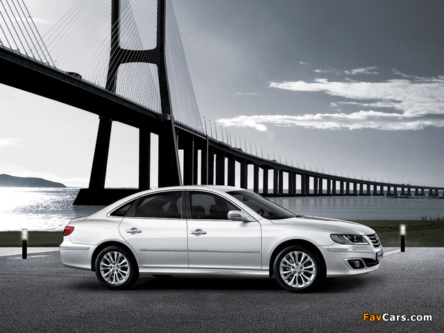 Hyundai Grandeur (TG) 2009–11 photos (640 x 480)