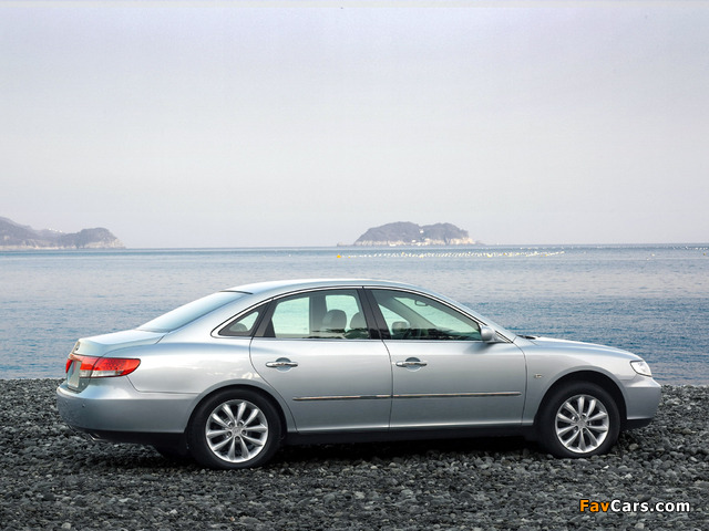 Photos of Hyundai Grandeur (TG) 2005–09 (640 x 480)