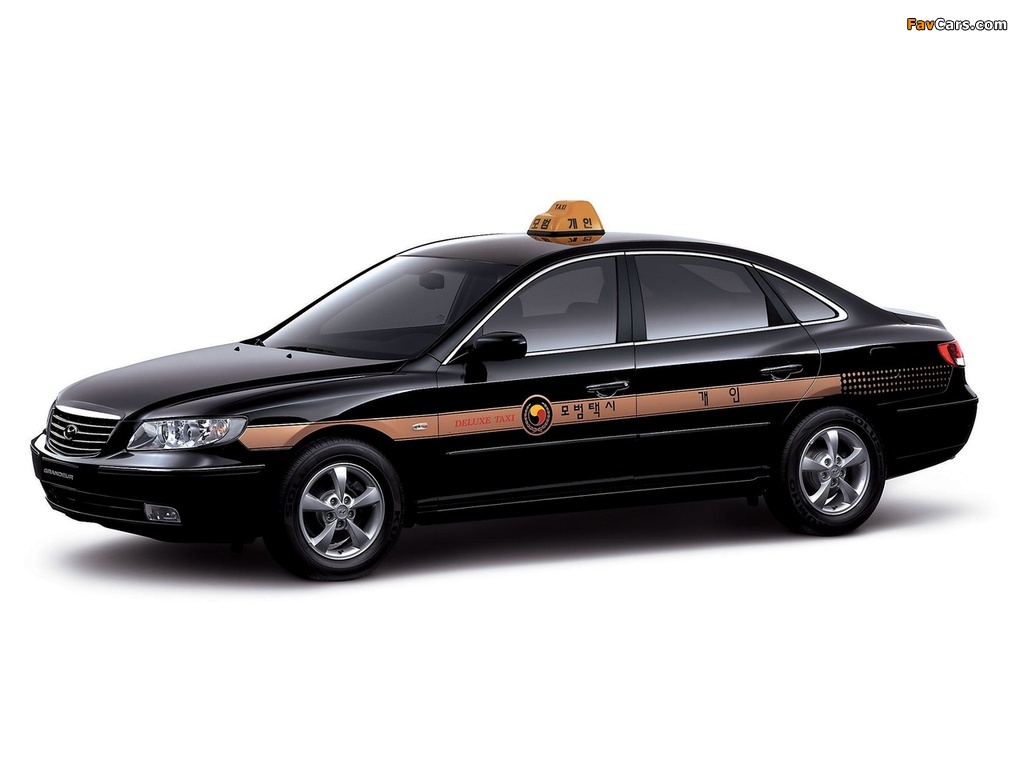 Pictures of Hyundai Grandeur Taxi (TG) 2005–09 (1024 x 768)