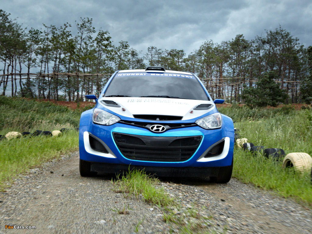 Hyundai i20 WRC Prototype 2012 wallpapers (1024 x 768)