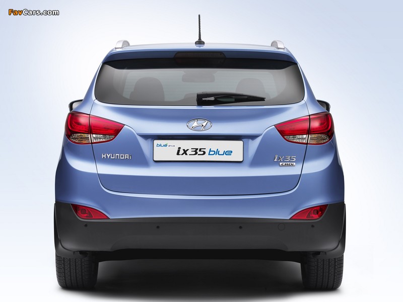 Photos of Hyundai ix35 Blue Drive 2010 (800 x 600)