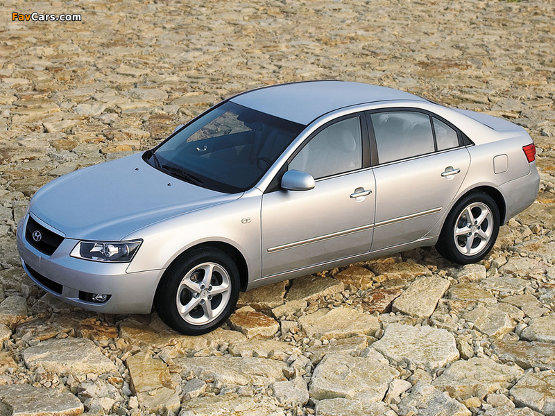 Pictures of Hyundai NF 2005–08 (800 x 600)
