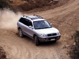 Hyundai Santa Fe (SM) 2000–04 pictures