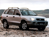 Hyundai Santa Fe AU-spec (SM) 2001–04 pictures