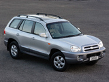 Hyundai Santa Fe ZA-spec (SM) 2005–06 photos