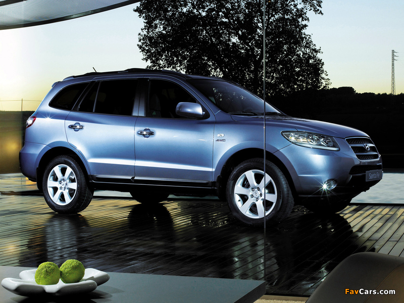 Photos of Hyundai Santa Fe (CM) 2005–09 (800 x 600)