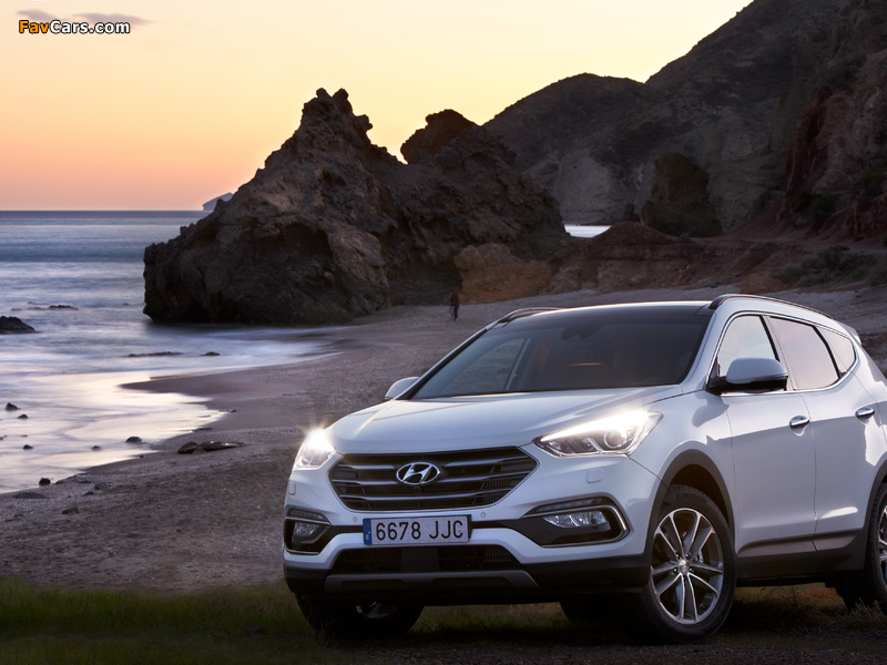 Pictures of Hyundai Santa Fe (DM) 2015 (800 x 600)