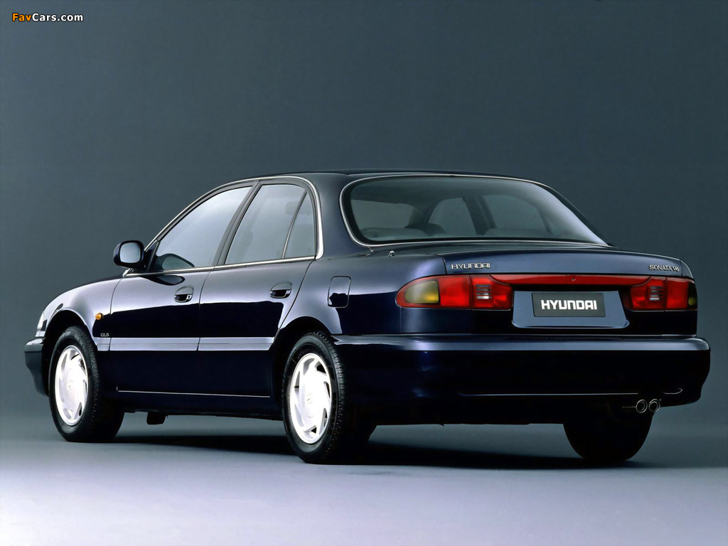 Hyundai Sonata (Y3) 1993–96 photos (1024 x 768)