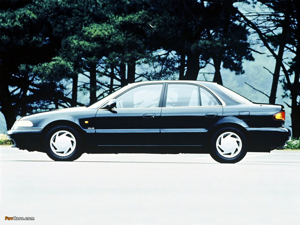 Hyundai Sonata (Y3) 1993–96 wallpapers (1024 x 768)