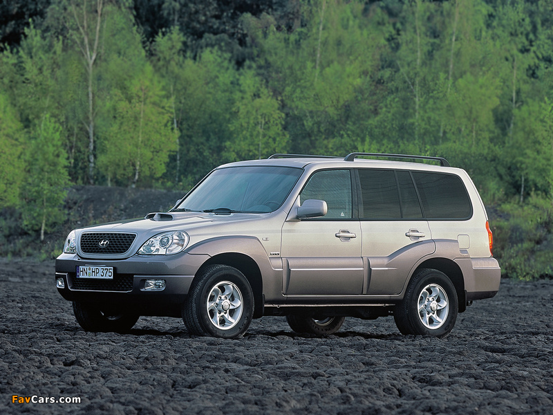 Hyundai Terracan 2004–07 photos (800 x 600)