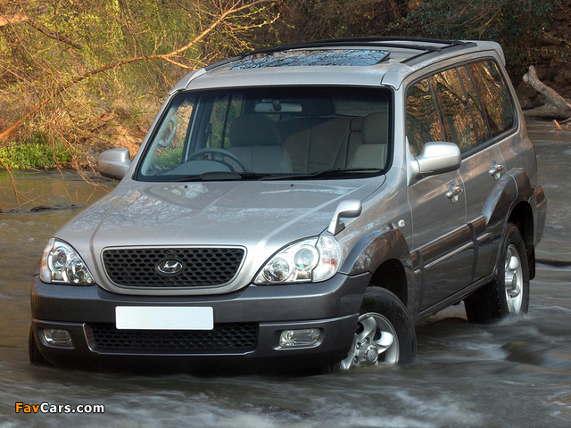 Hyundai Terracan ZA-spec 2004–07 pictures (640 x 480)