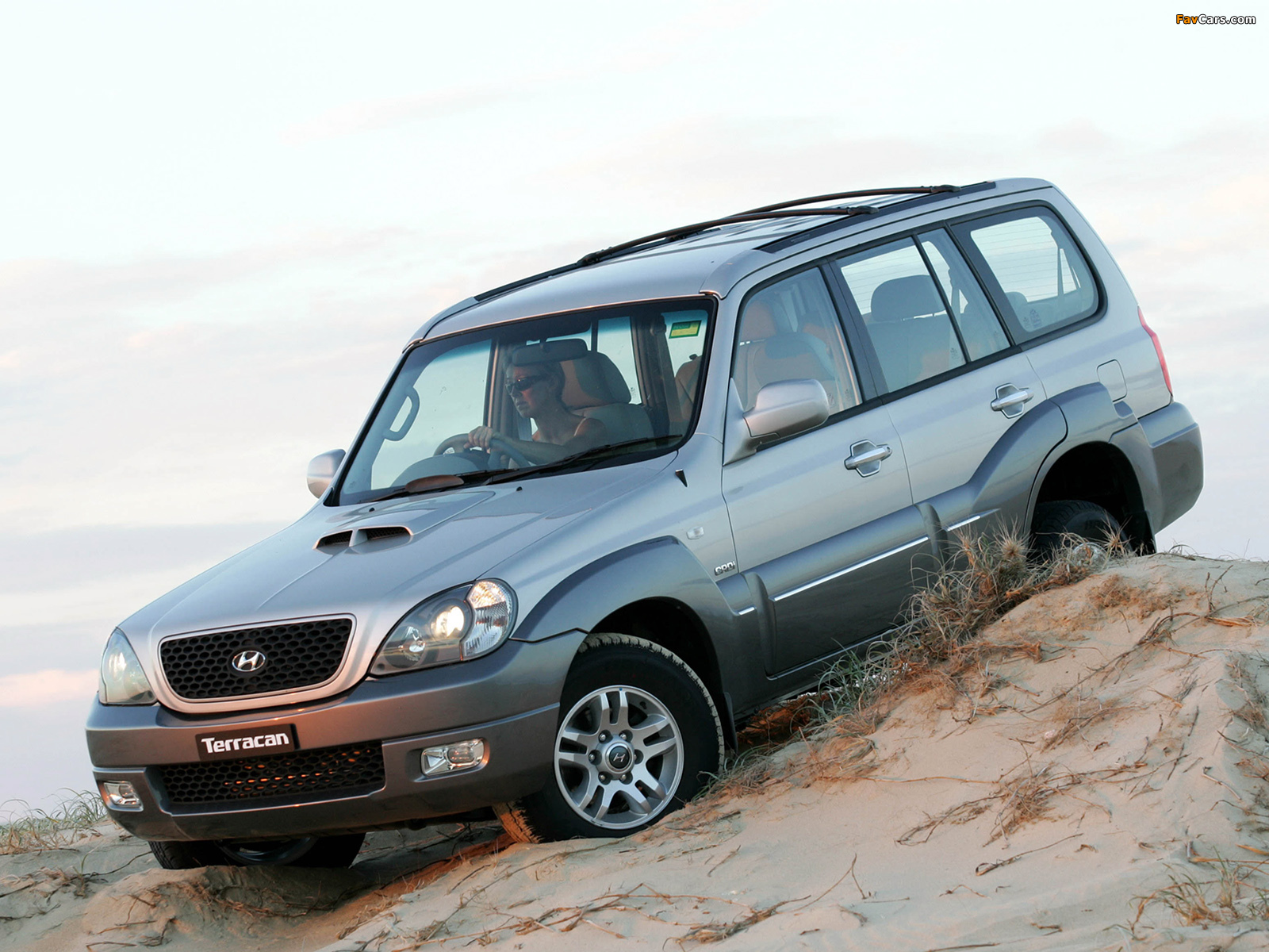 Photos of Hyundai Terracan AU-spec 2004–07 (1600 x 1200)