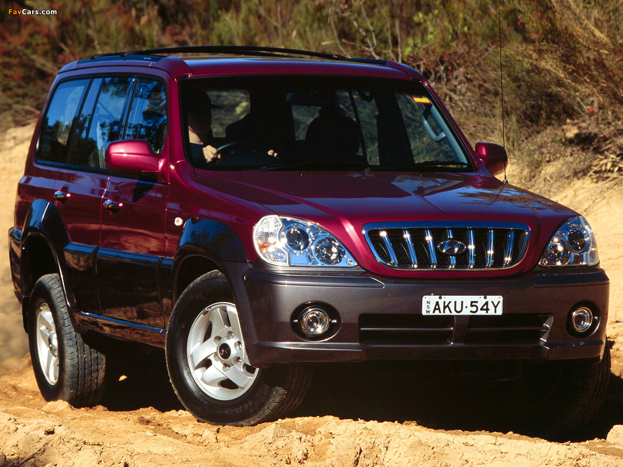 Pictures of Hyundai Terracan AU-spec 2001–04 (1280 x 960)