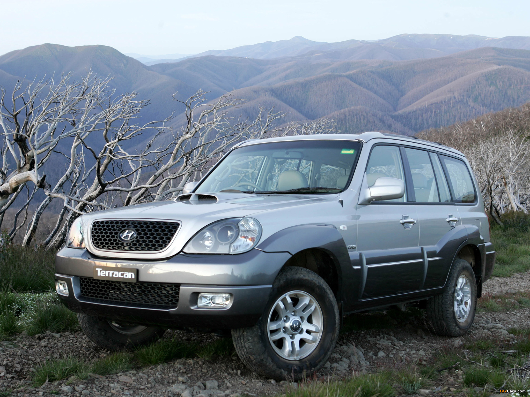 Pictures of Hyundai Terracan AU-spec 2004–07 (2048 x 1536)