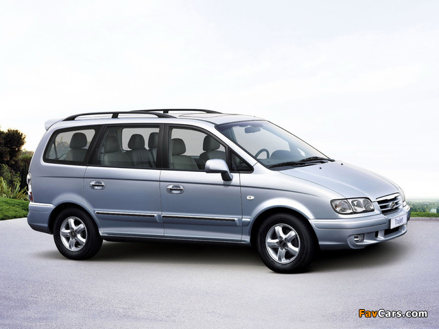 Photos of Hyundai Trajet 2004–08 (640 x 480)