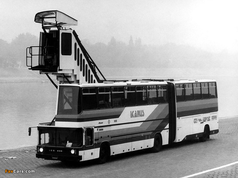 Images of Ikarus 695 1985 (800 x 600)