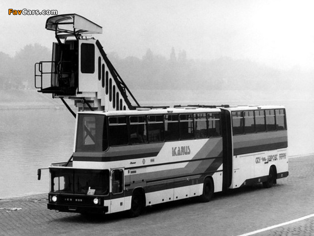 Images of Ikarus 695 1985 (640 x 480)