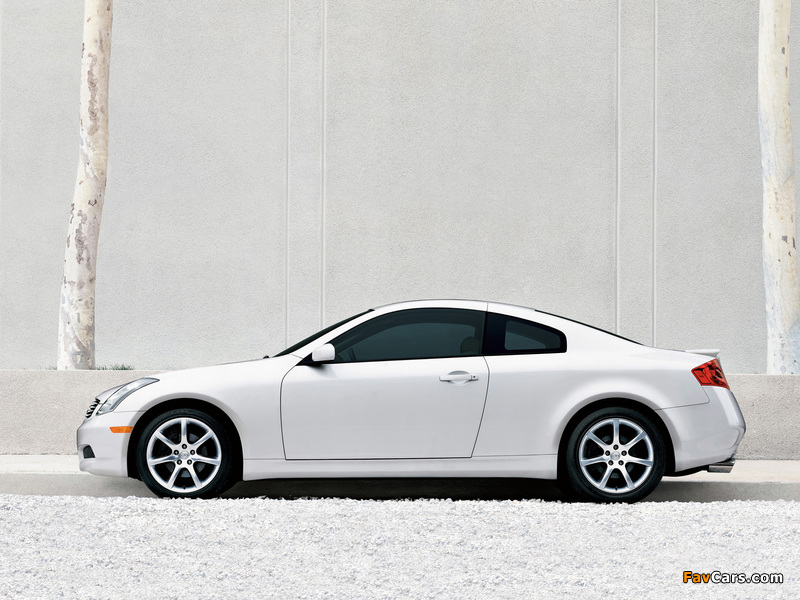 Pictures of Infiniti G35 Coupe (CV35) 2005–07 (800 x 600)