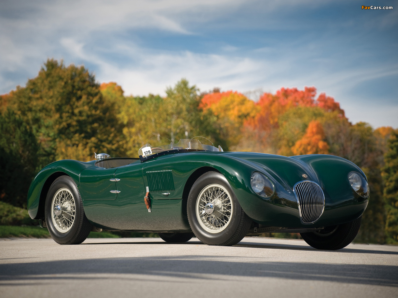 Photos of Jaguar C-Type 1951–53 (1280 x 960)